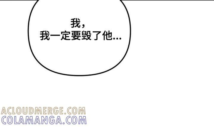 《互补人生》第40章：一定要毁了他 第17页