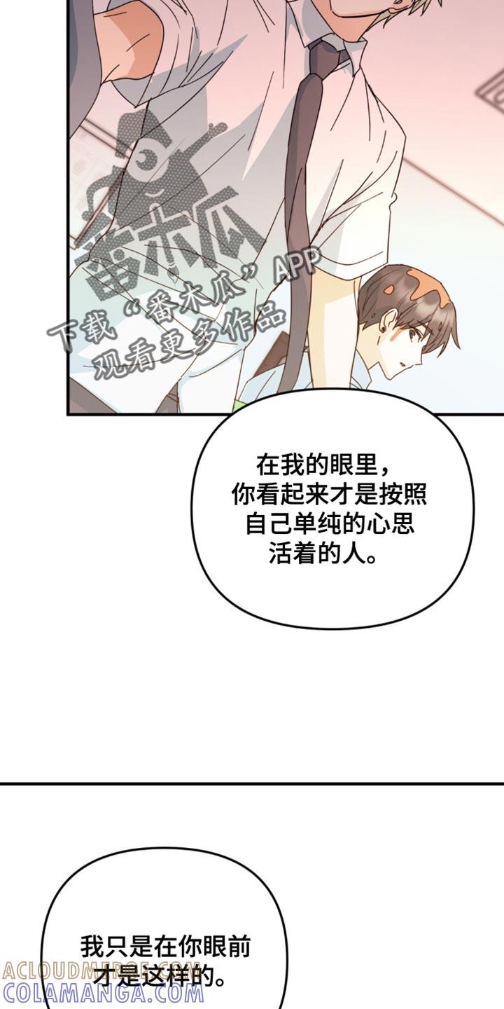 《互补人生》第42章：微妙的视线 第21页