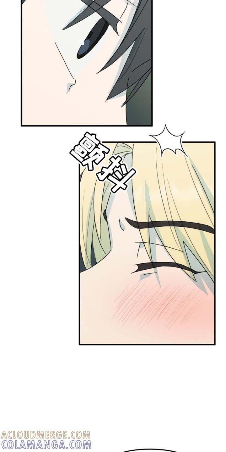 《互补人生》第42章：微妙的视线 第13页