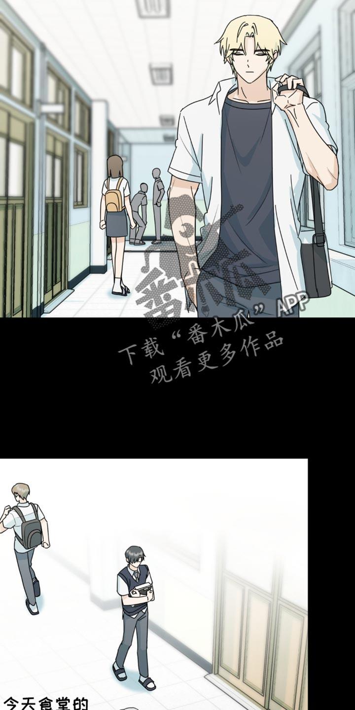 《互补人生》第42章：微妙的视线 第32页