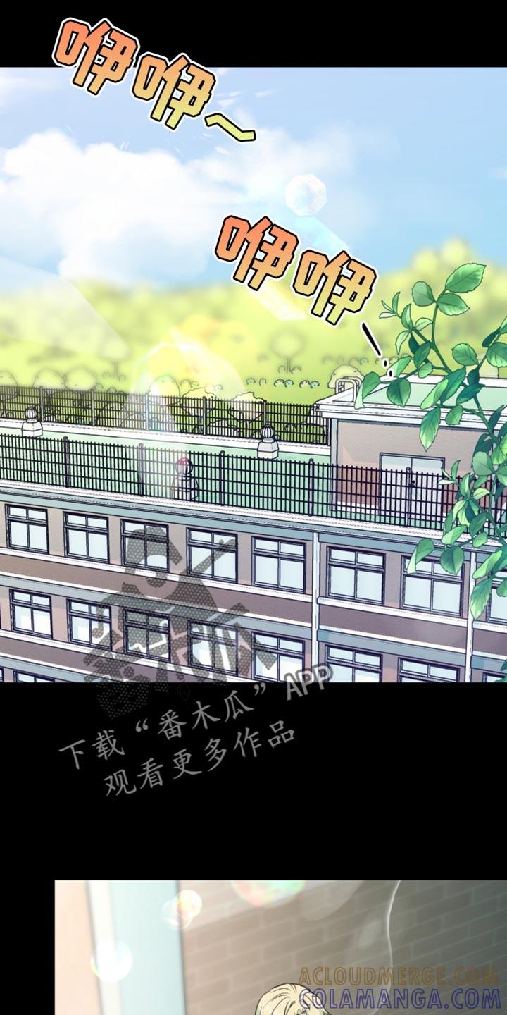 《互补人生》第42章：微妙的视线 第25页
