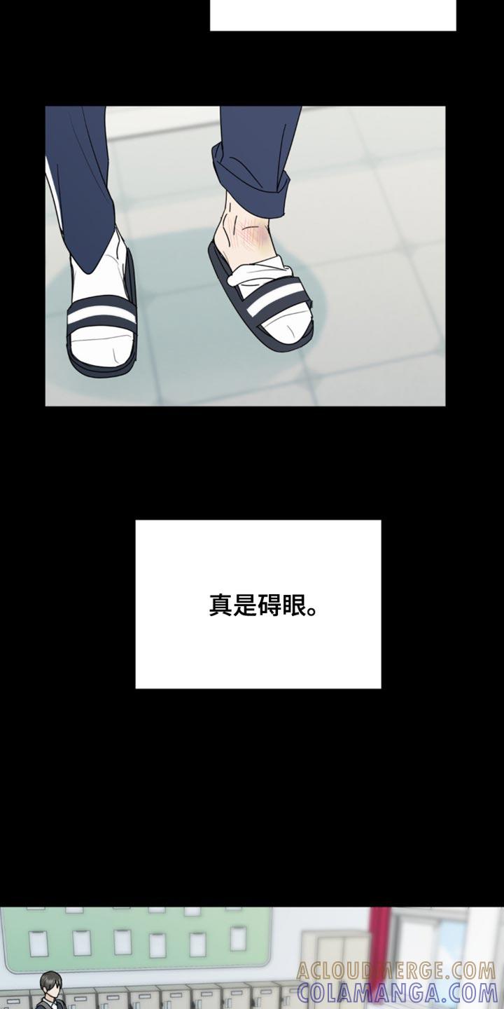 《互补人生》第43章：有意思的东西 第17页