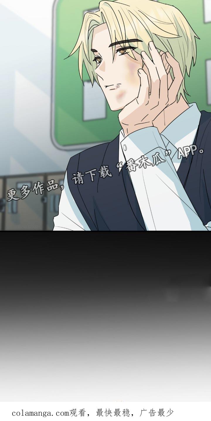 《互补人生》第43章：有意思的东西 第26页