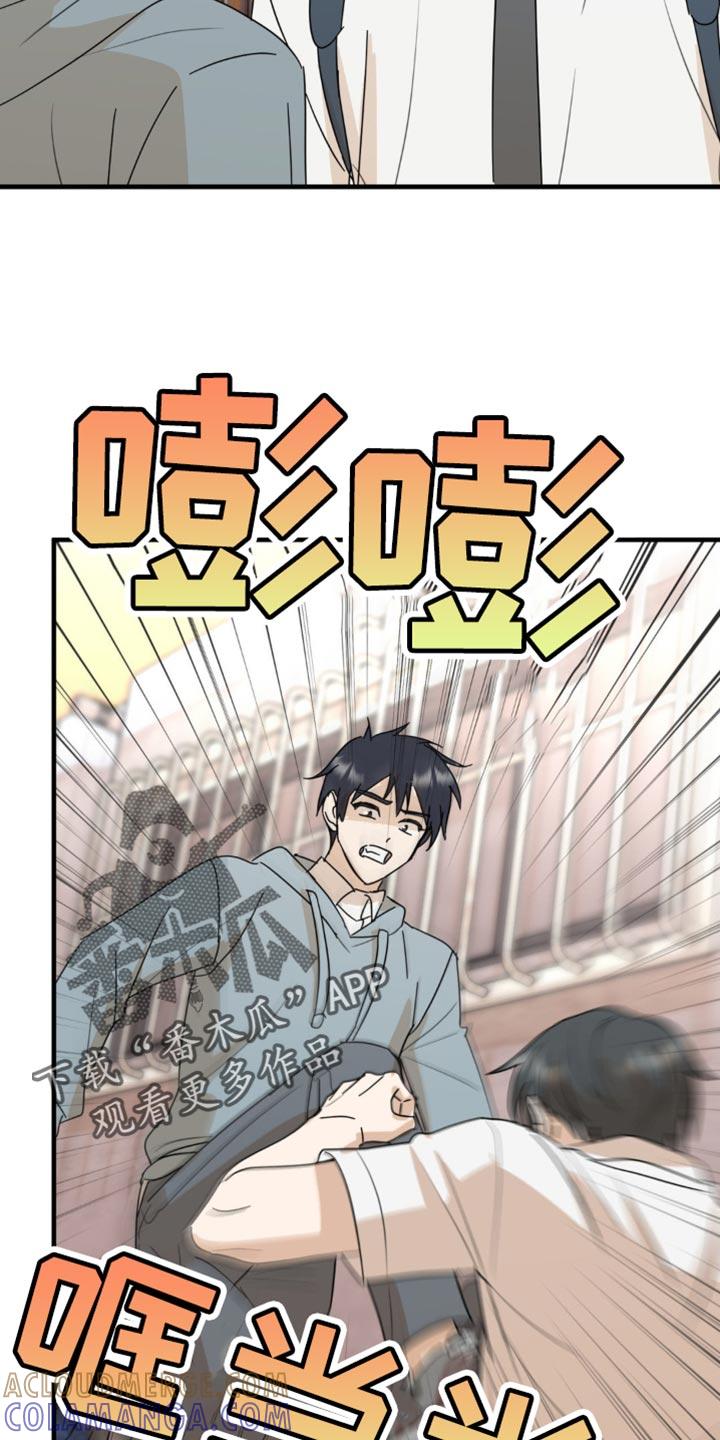 《互补人生》第50章：和你有什么关系 第27页