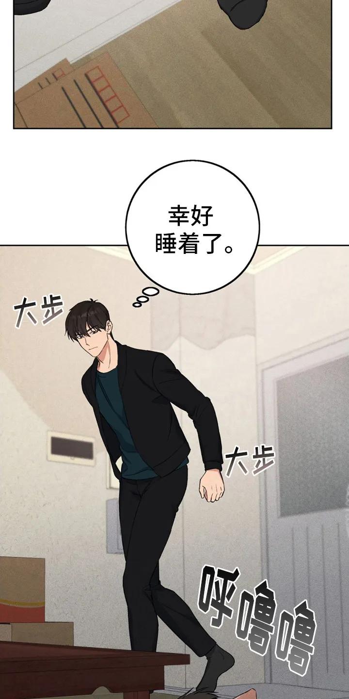 《债务条约》第8章：收下好意 第20页