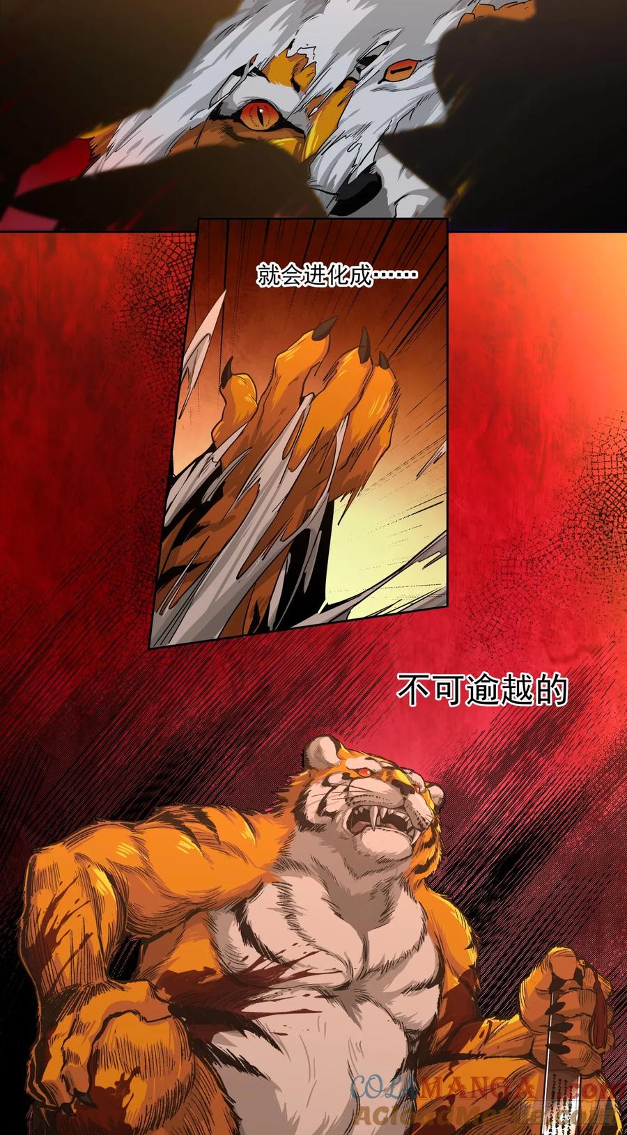 《泰拉战纪》War Never End！ 第17页