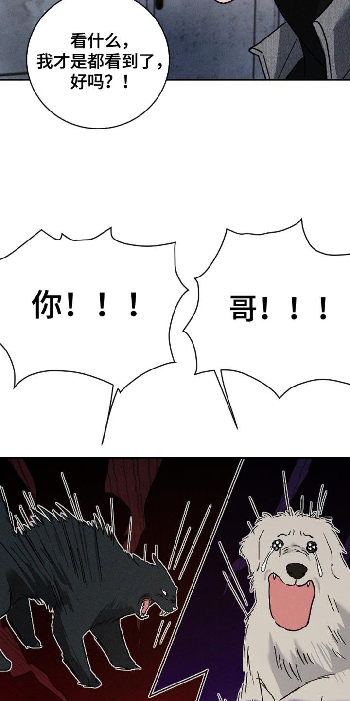 《危险建议》第176章：【番外】我都看到了 第28页