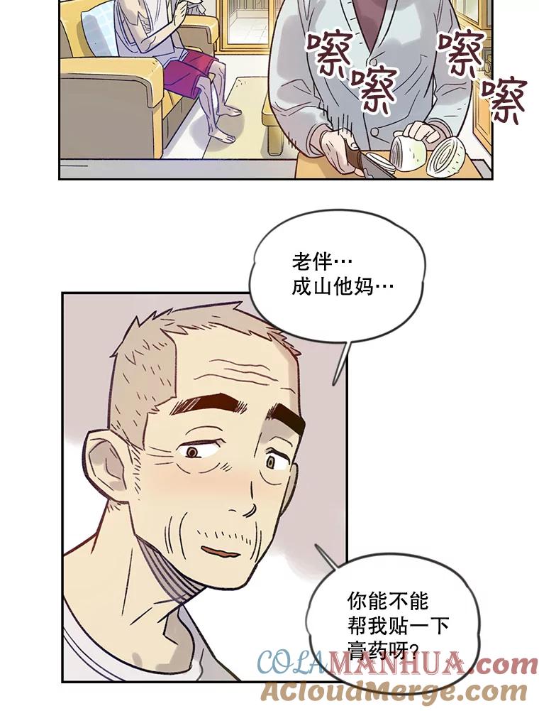 《像蝴蝶一样飞》10.瞎折腾 第43页