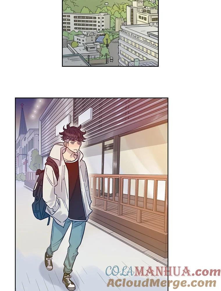 《像蝴蝶一样飞》15.狭隘的人 第19页
