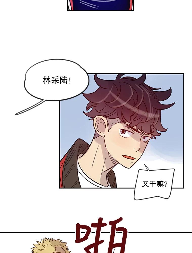《像蝴蝶一样飞》17.耳光响亮 第47页
