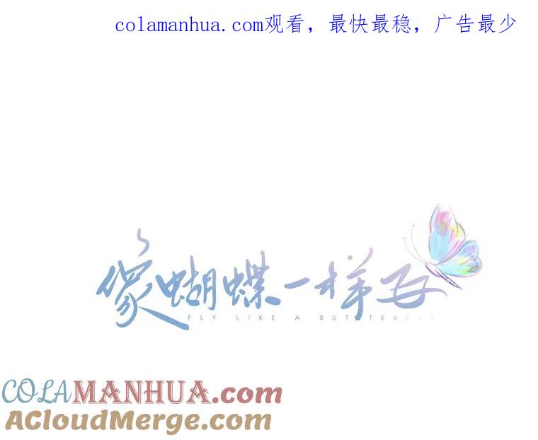 《像蝴蝶一样飞》17.耳光响亮 第1页