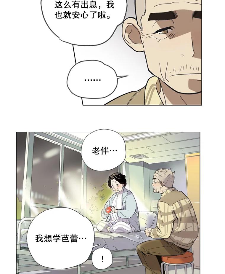 《像蝴蝶一样飞》1.垂暮的梦 第41页