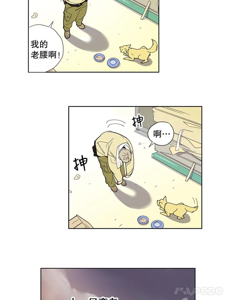 《像蝴蝶一样飞》1.垂暮的梦 第27页
