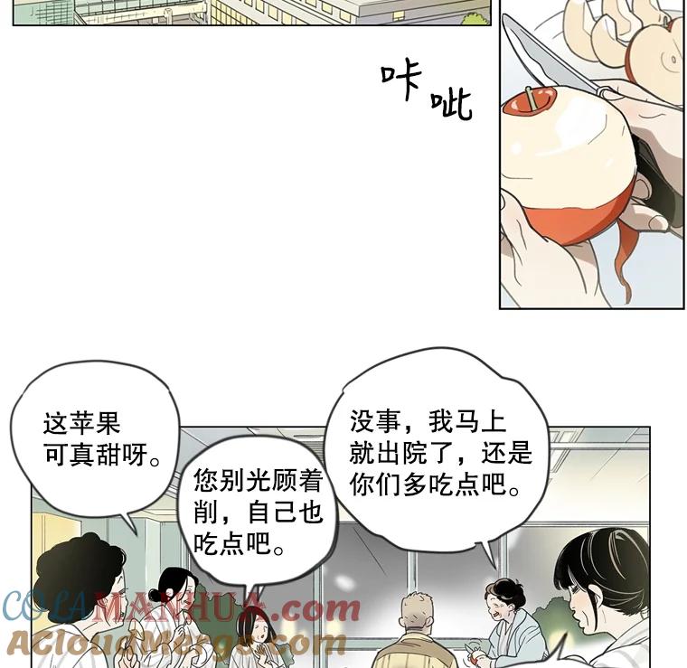 《像蝴蝶一样飞》1.垂暮的梦 第37页