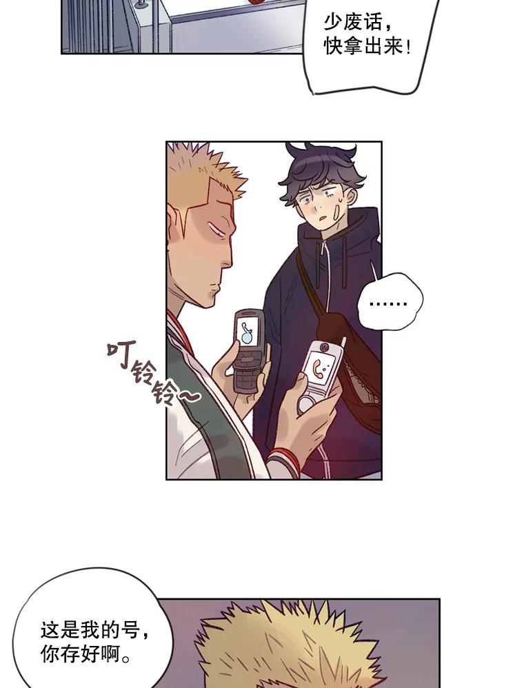 《像蝴蝶一样飞》19.飞翔 第26页