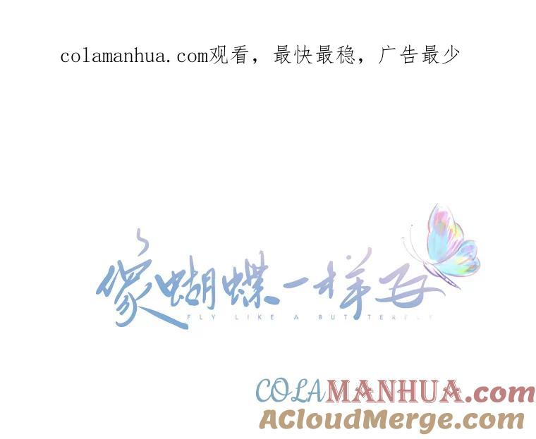 《像蝴蝶一样飞》21.老实人的怒火 第1页