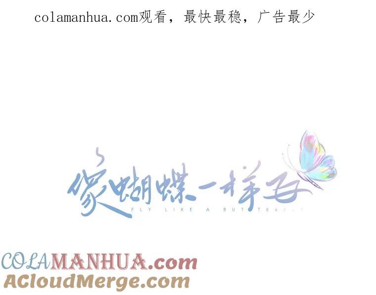 《像蝴蝶一样飞》27.偶像 第1页