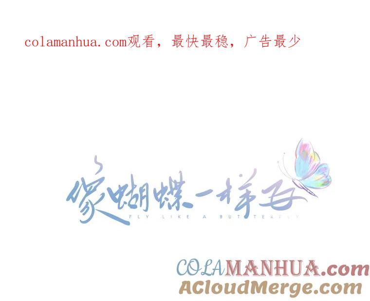 《像蝴蝶一样飞》2.少年往事 第1页
