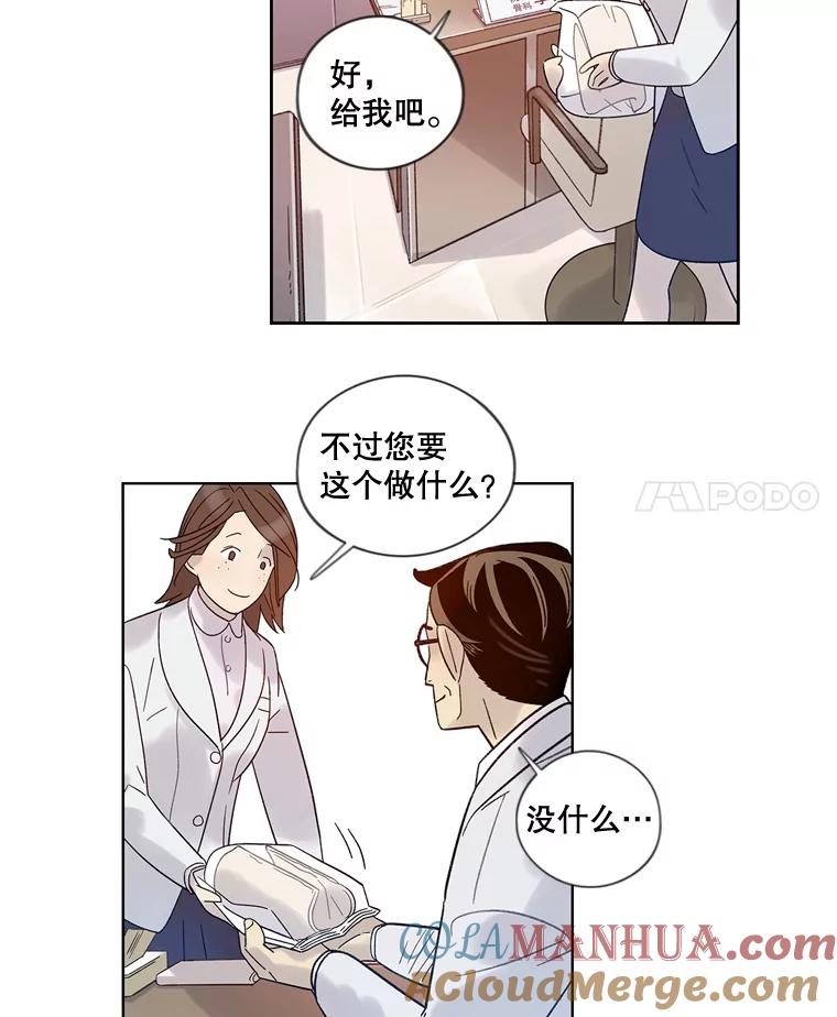 《像蝴蝶一样飞》29.辛苦十倍 第54页