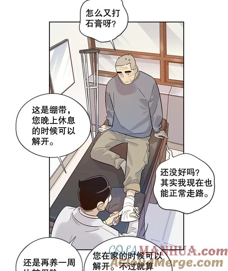 《像蝴蝶一样飞》29.辛苦十倍 第3页