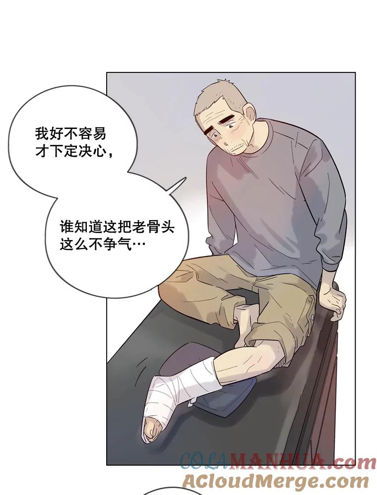 《像蝴蝶一样飞》29.辛苦十倍 第12页