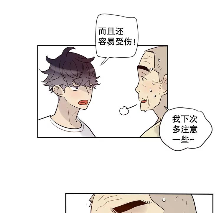 《像蝴蝶一样飞》32.坏人？ 第47页
