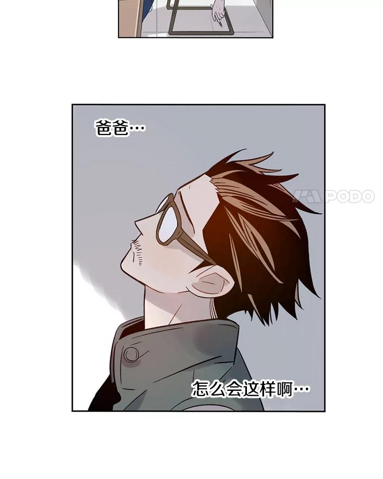 《像蝴蝶一样飞》35.这就是父母 第12页