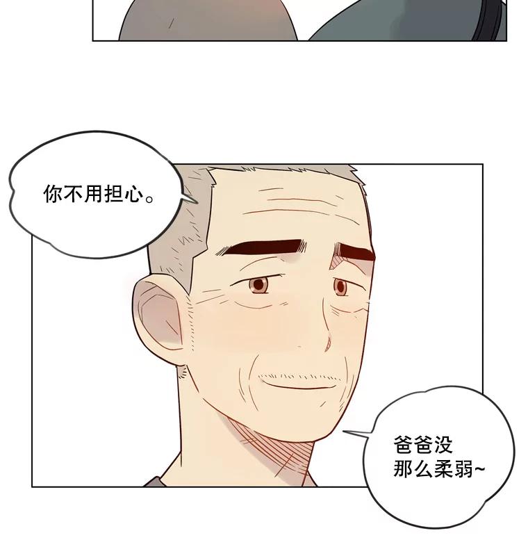 《像蝴蝶一样飞》35.这就是父母 第54页