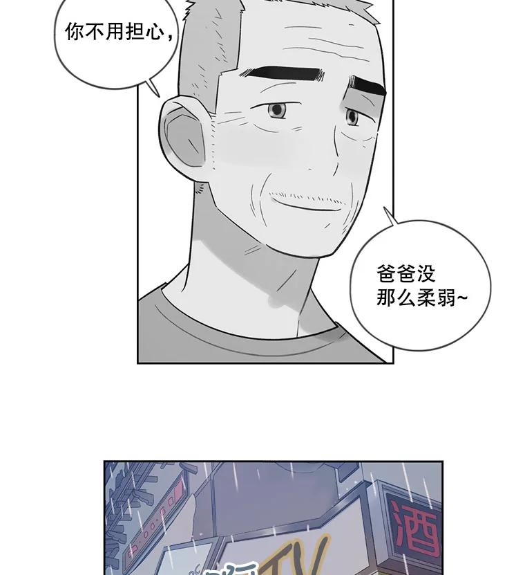《像蝴蝶一样飞》35.这就是父母 第71页