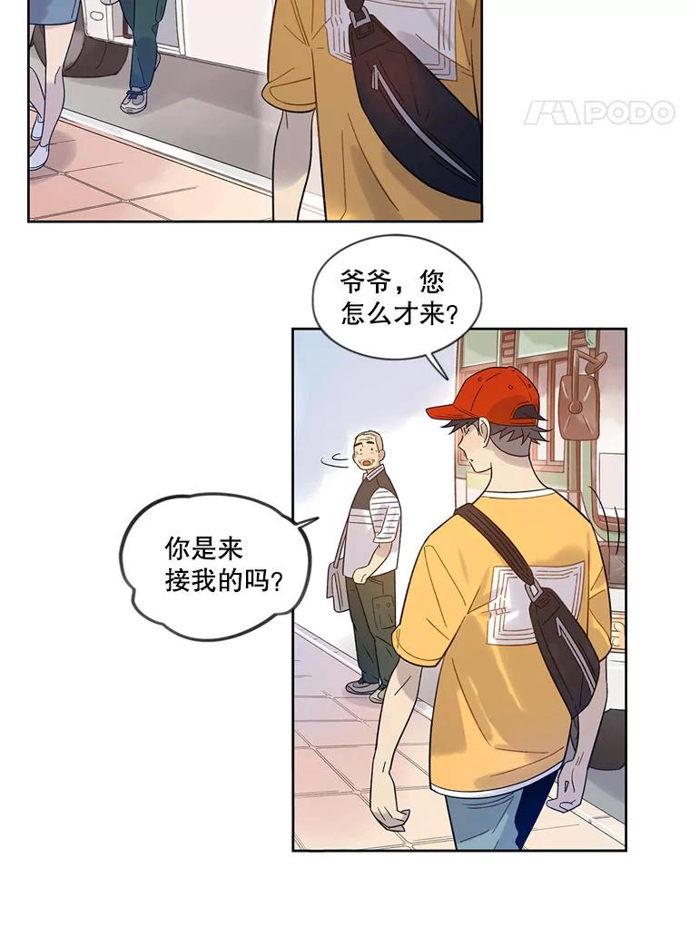 《像蝴蝶一样飞》36.合适的人 第5页