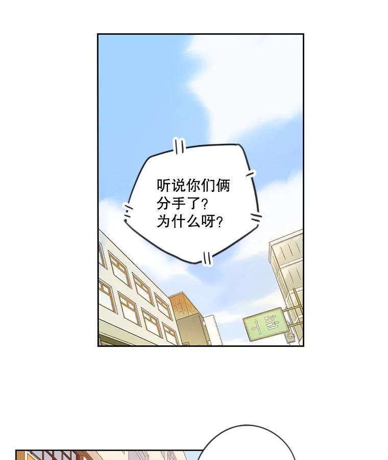 《像蝴蝶一样飞》36.合适的人 第72页