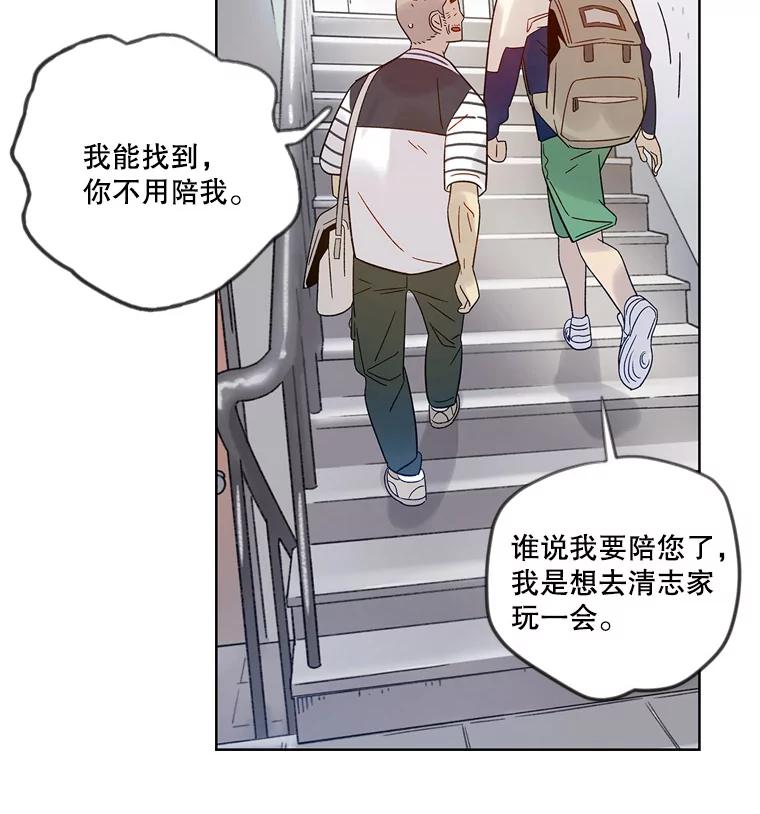 《像蝴蝶一样飞》37.训斥 第39页