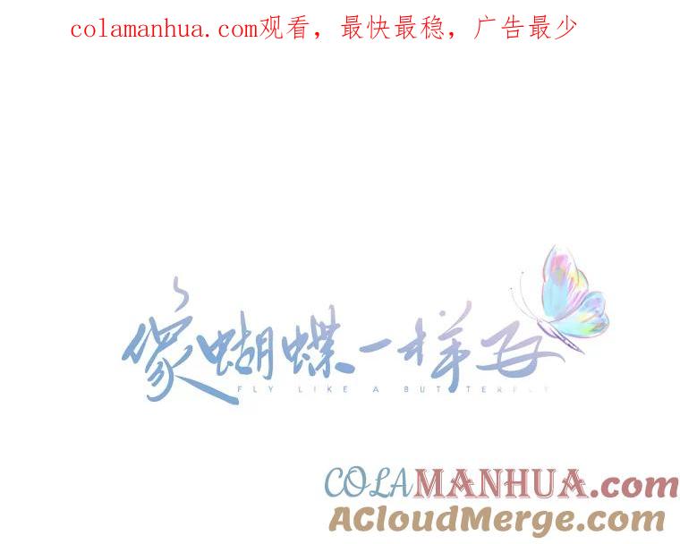 《像蝴蝶一样飞》37.训斥 第1页