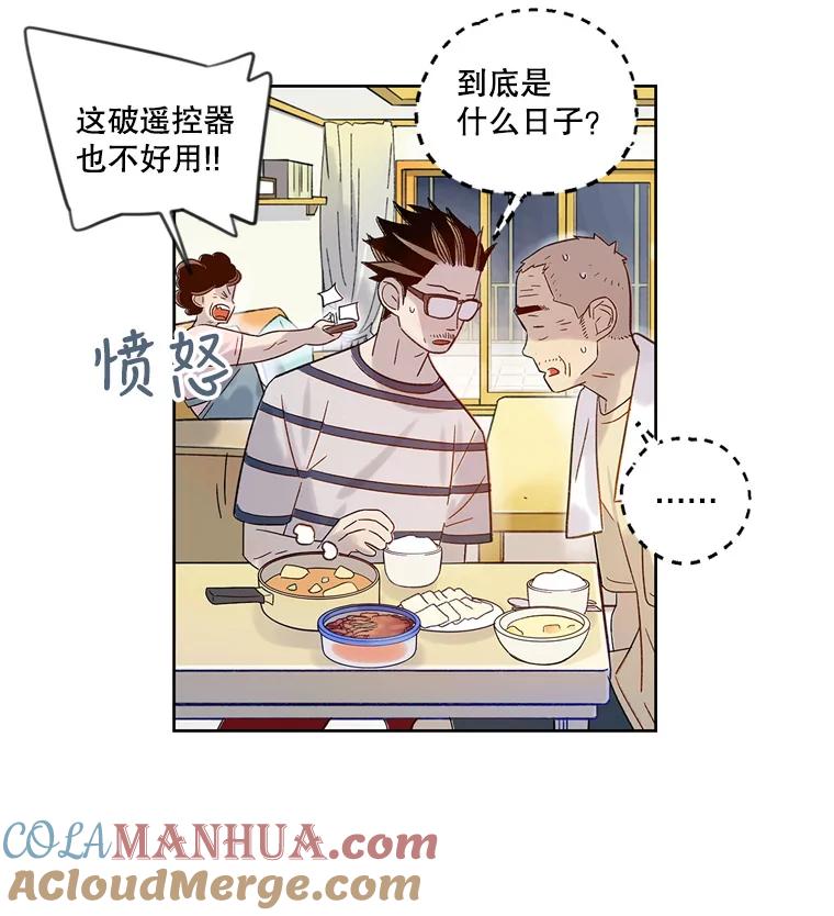 《像蝴蝶一样飞》38.结婚纪念日 第16页