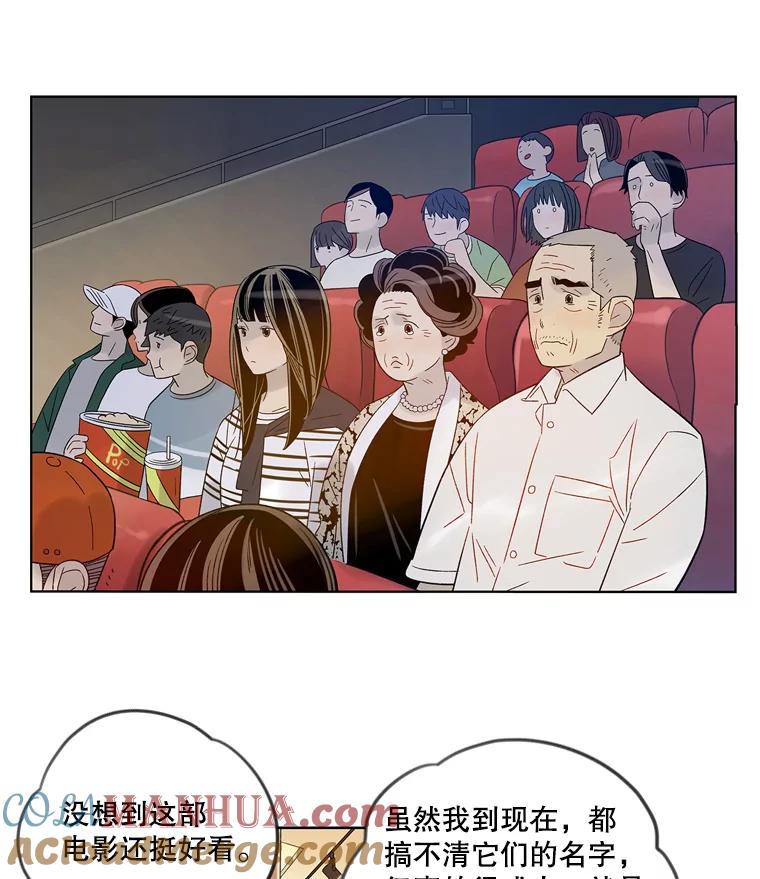 《像蝴蝶一样飞》38.结婚纪念日 第43页