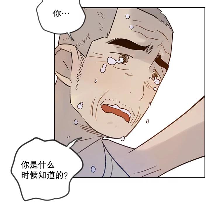 《像蝴蝶一样飞》39.崩溃 第78页