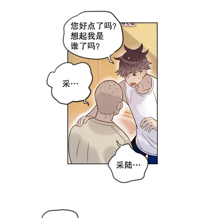 《像蝴蝶一样飞》39.崩溃 第77页