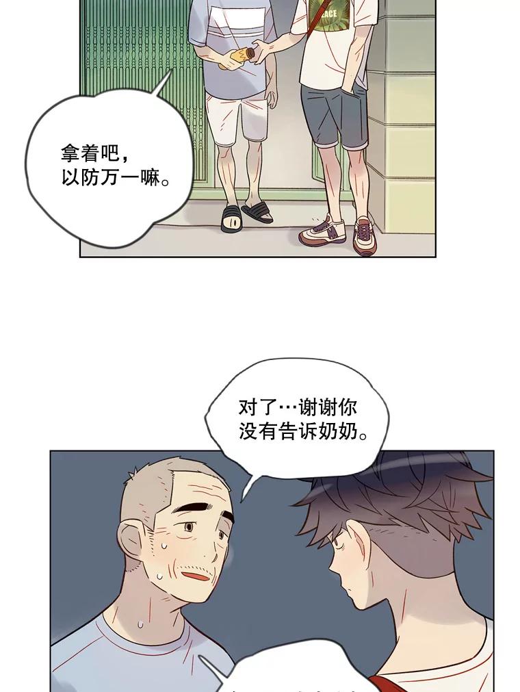 《像蝴蝶一样飞》40.变迟缓 第66页