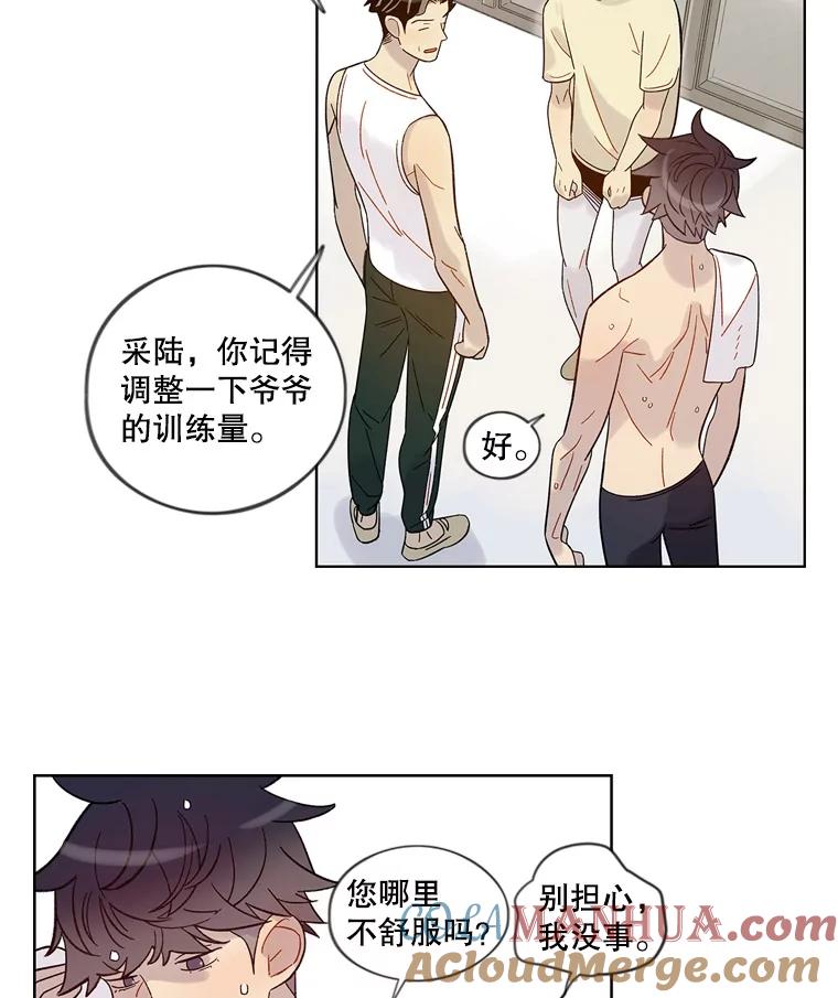 《像蝴蝶一样飞》40.变迟缓 第7页