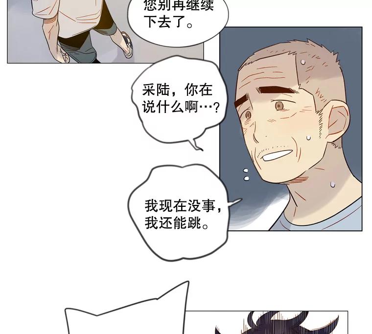 《像蝴蝶一样飞》41.我尽力了 第2页