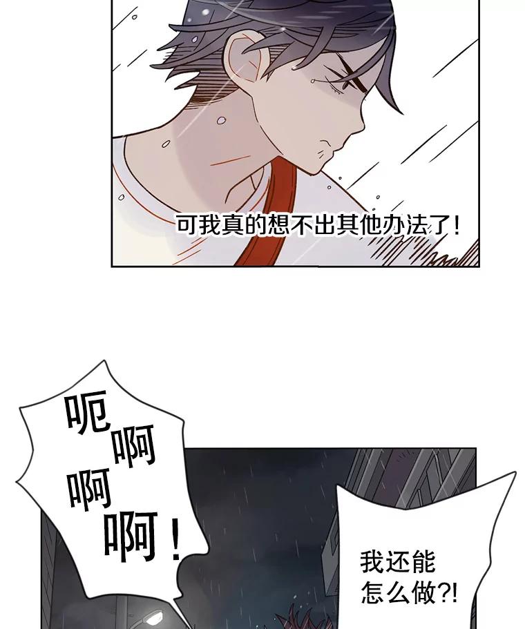 《像蝴蝶一样飞》41.我尽力了 第29页