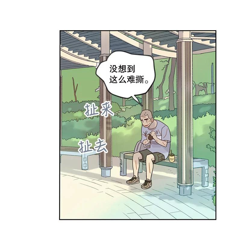 《像蝴蝶一样飞》41.我尽力了 第78页