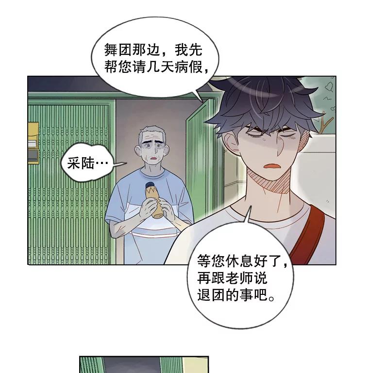 《像蝴蝶一样飞》41.我尽力了 第12页