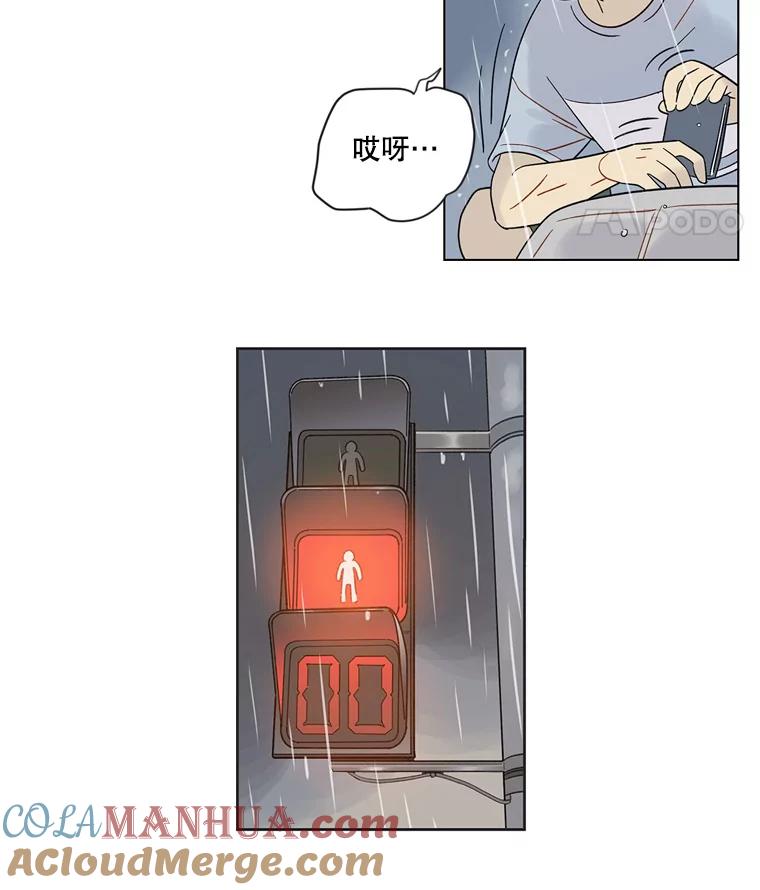 《像蝴蝶一样飞》43.你过的好吗？ 第82页