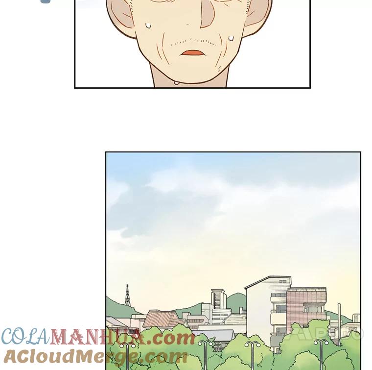 《像蝴蝶一样飞》43.你过的好吗？ 第28页