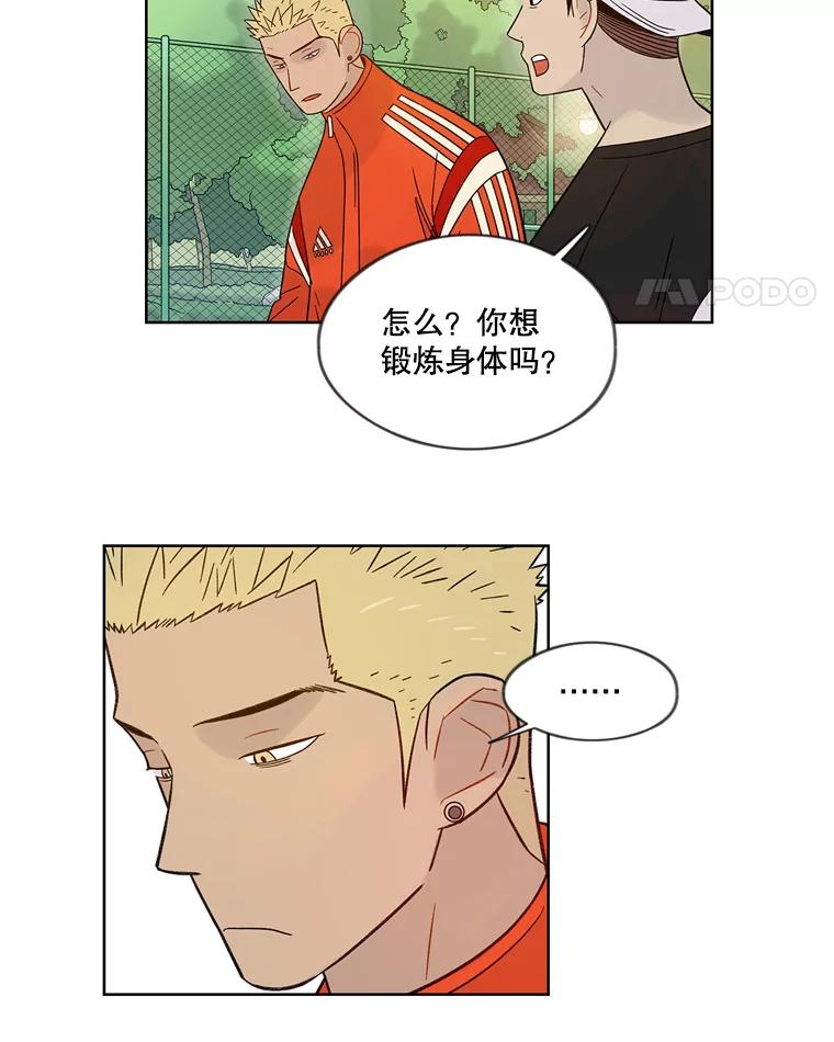《像蝴蝶一样飞》43.你过的好吗？ 第5页