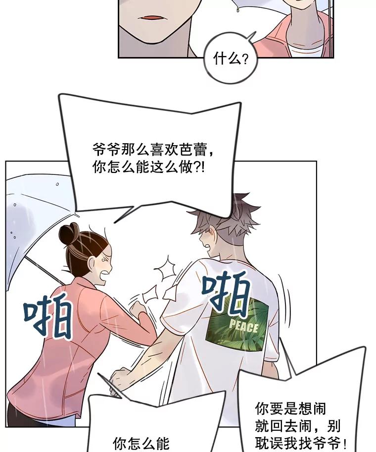 《像蝴蝶一样飞》44.我也很后悔（本季完） 第82页