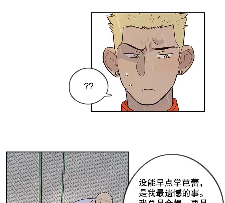 《像蝴蝶一样飞》44.我也很后悔（本季完） 第66页