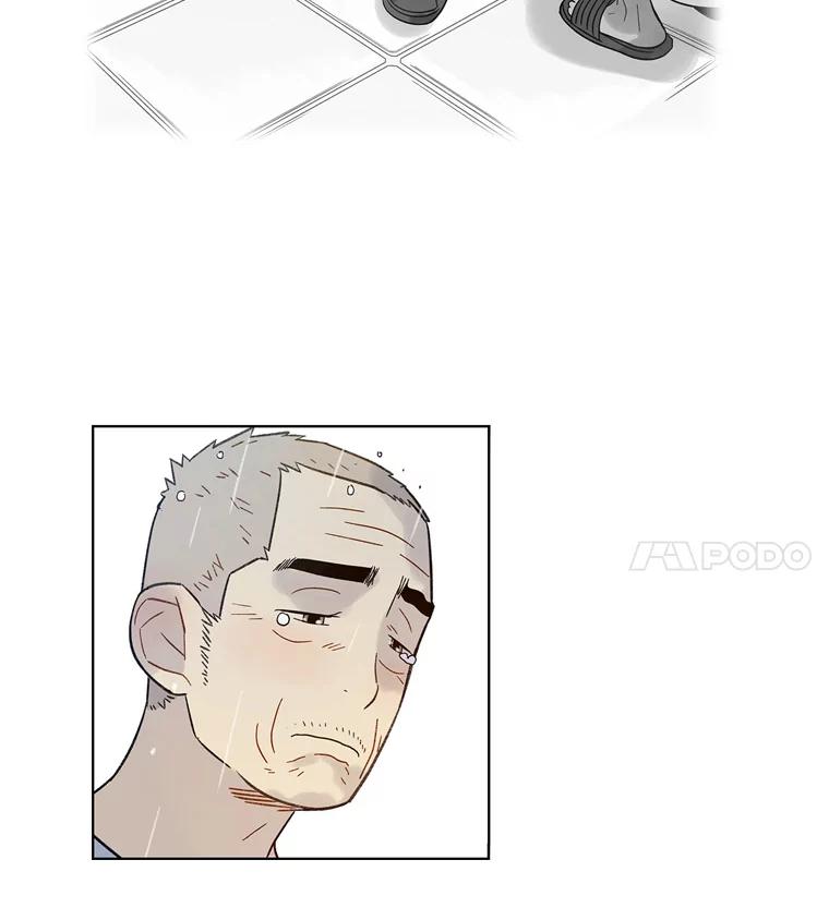 《像蝴蝶一样飞》44.我也很后悔（本季完） 第95页