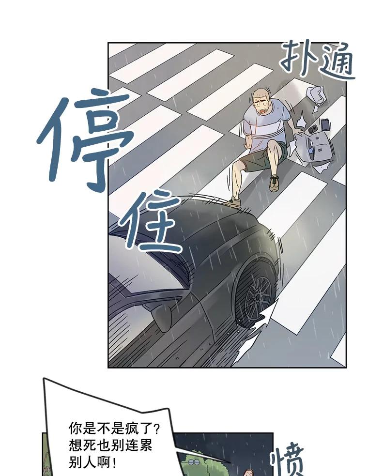 《像蝴蝶一样飞》44.我也很后悔（本季完） 第31页